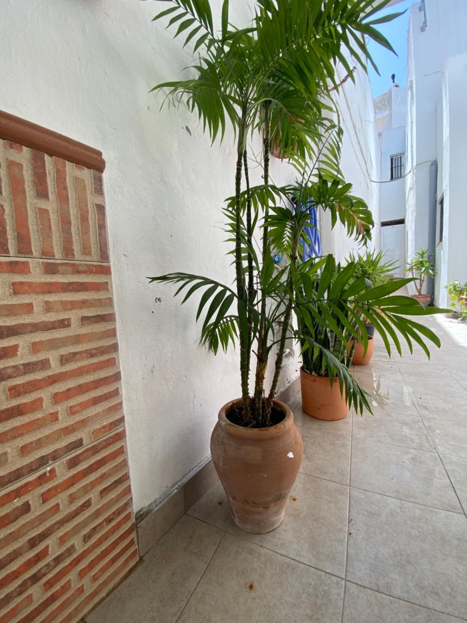 Casa Calle Vejer de la Frontera Exterior foto